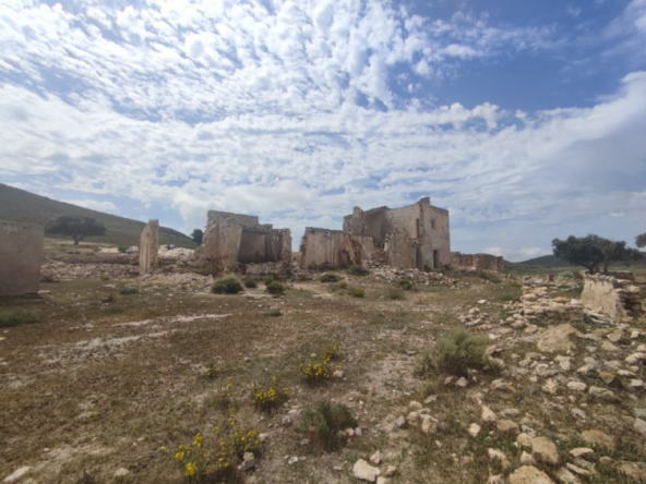 Imagen 1 de Parcela en Venta en Fernanperez Almería