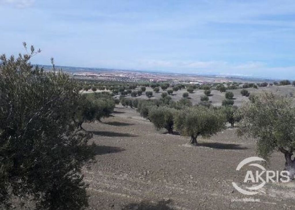 Imagen 2 de SUELO RUSTICO EN ALAMEDA DE LA SAGRA