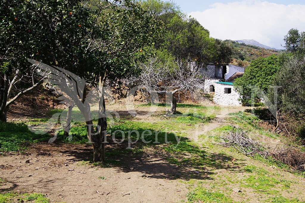 Imagen 2 de Suelo rústico en Venta en Casares Málaga