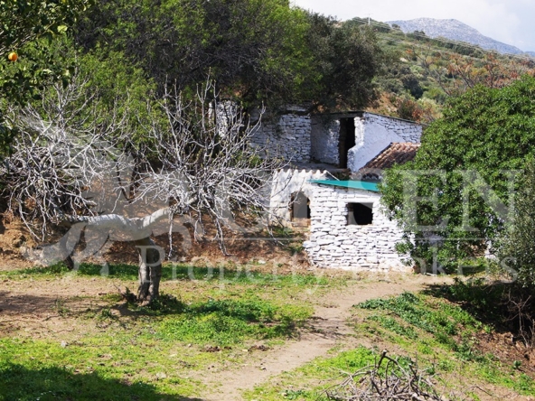 Imagen 1 de Suelo rústico en Venta en Casares Málaga