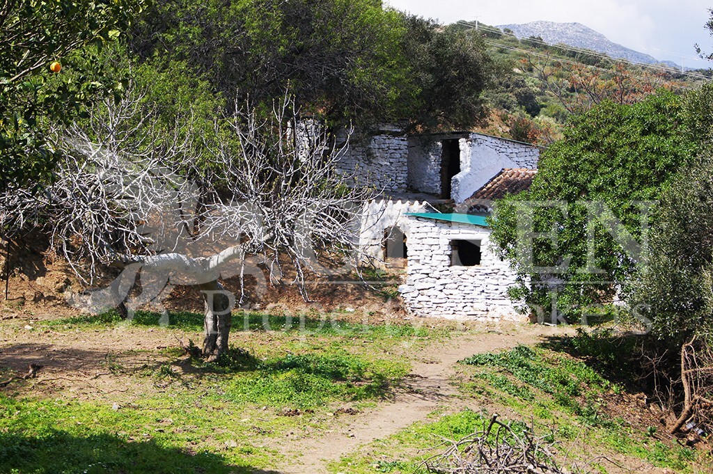 Imagen 1 de Suelo rústico en Venta en Casares Málaga