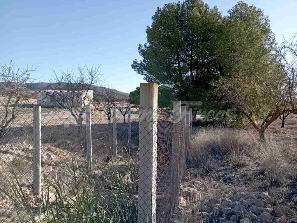 Imagen 4 de Casa de campo-Masía en Venta en Caudete Albacete