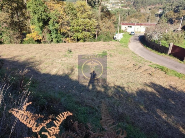 Imagen 1 de Finca Rústica en venta en Pexegueiro (Tui)