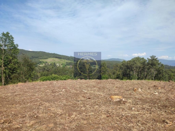 Imagen 1 de Terreno rusticos de 6164 M2 en Pexegueiro Tui