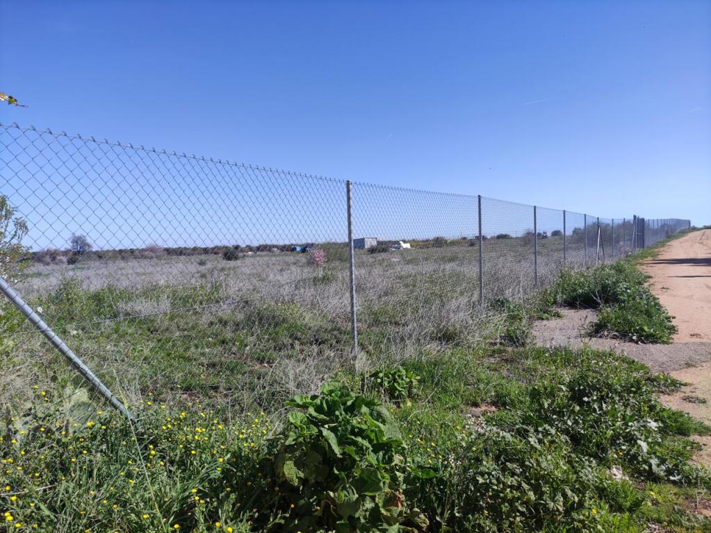 Imagen 3 de PARCELA VALLADA EN LA MEJOR ZONA DE BURGUILLOS