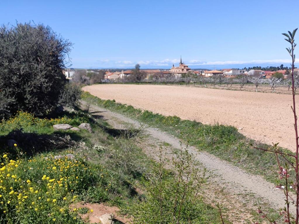 Imagen 4 de PARCELA VALLADA EN LA MEJOR ZONA DE BURGUILLOS