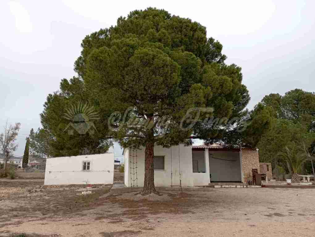 Imagen 2 de Casa de campo-Masía en Venta en Yecla Murcia