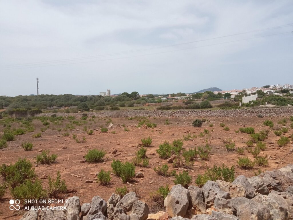 Imagen 2 de TERRENO URBANiZABLE ALAIOR- MENORCA  75 unidades