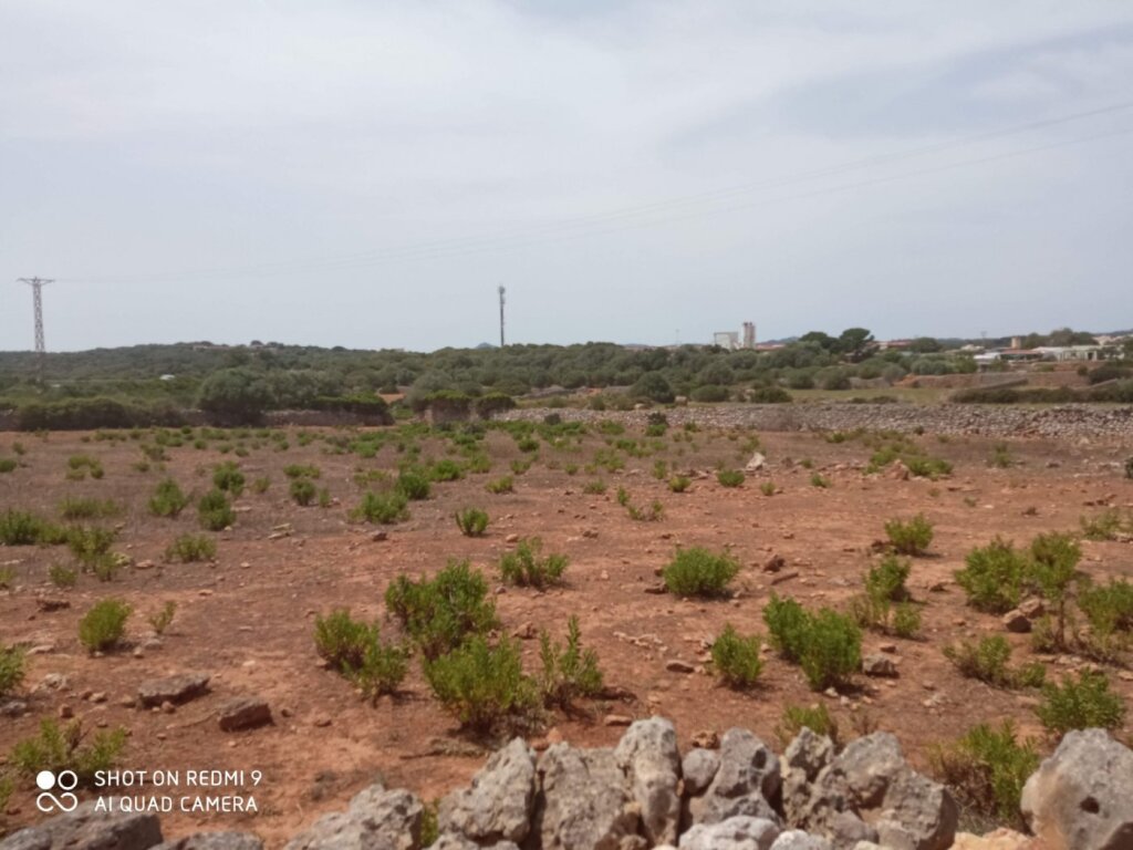 Imagen 3 de TERRENO URBANiZABLE ALAIOR- MENORCA  75 unidades