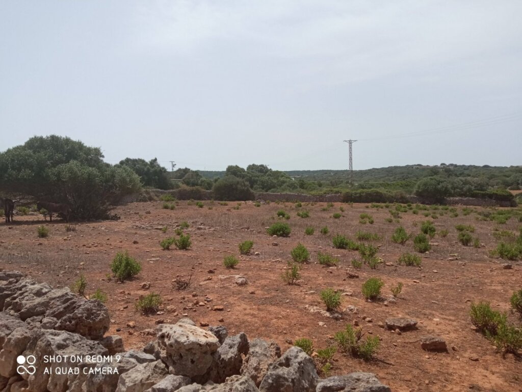 Imagen 4 de TERRENO URBANiZABLE ALAIOR- MENORCA  75 unidades