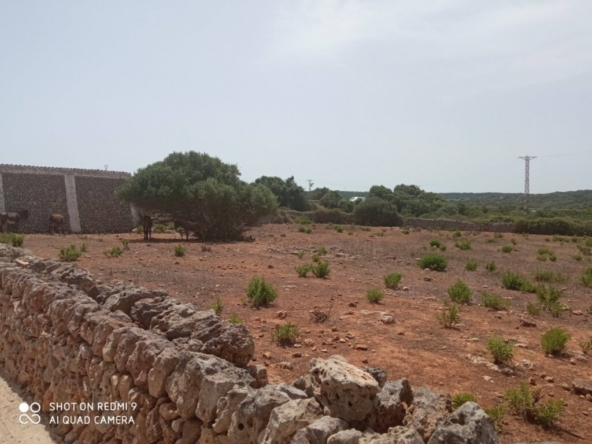 Imagen 1 de TERRENO URBANiZABLE ALAIOR- MENORCA  75 unidades