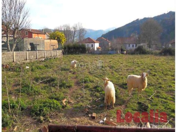 Imagen 1 de Terreno Urbano de 2118m² en Solórzano