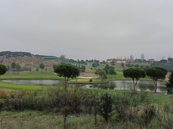 Imagen 1 de Suelo rústico en Venta en Cabanillas Del Campo Guadalajara