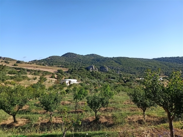 Imagen 1 de Suelo rústico en Venta en Casares Málaga