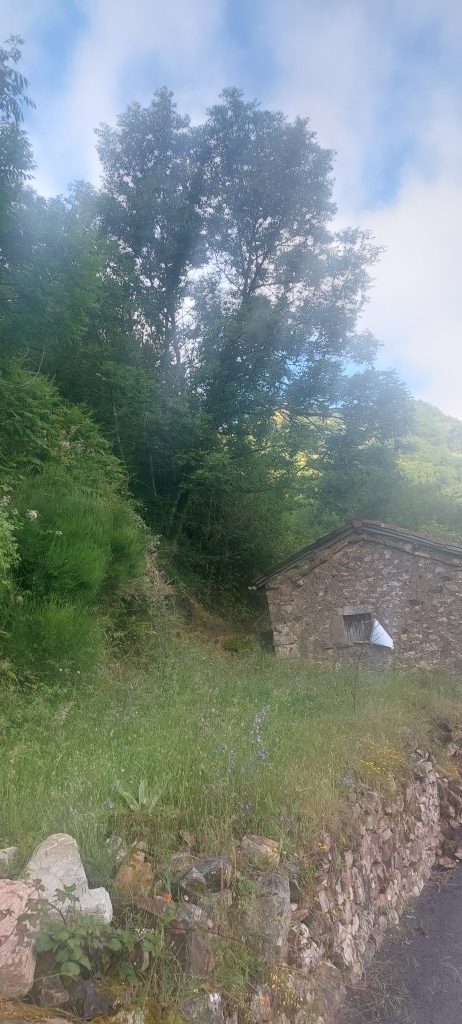 Imagen 2 de Casa de pueblo en Venta en Caunedo (Somiedo) Asturias