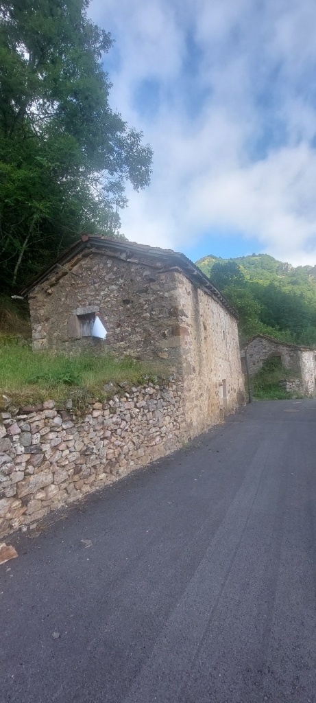 Imagen 3 de Casa de pueblo en Venta en Caunedo (Somiedo) Asturias