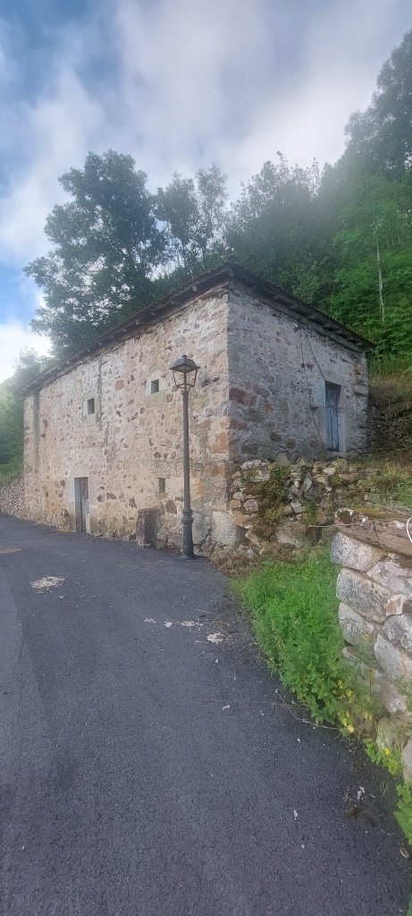 Imagen 4 de Casa de pueblo en Venta en Caunedo (Somiedo) Asturias