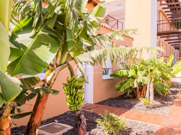 Imagen 1 de Casa de pueblo en Venta en San Miguel De Abona Santa Cruz de Tenerife