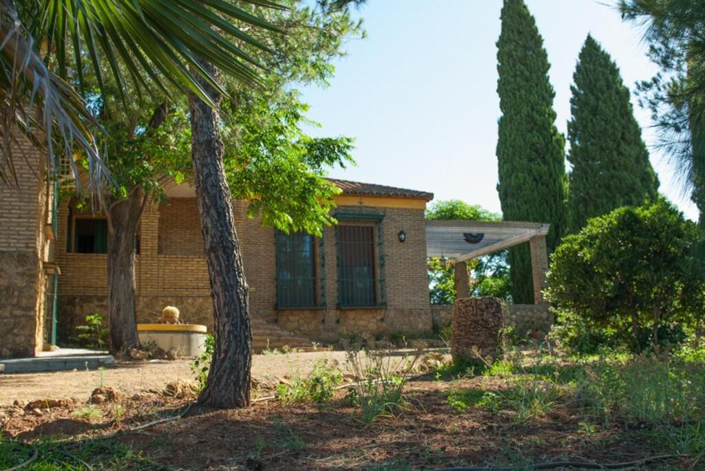 Imagen 3 de CHALET INDEPENDIENTE CON PISCINA EN MAIRENA DEL ALCOR