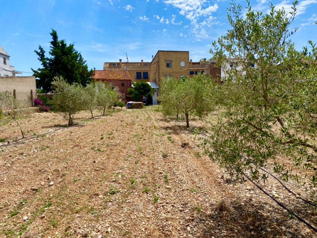 Imagen 3 de Casa de pueblo con gran terreno