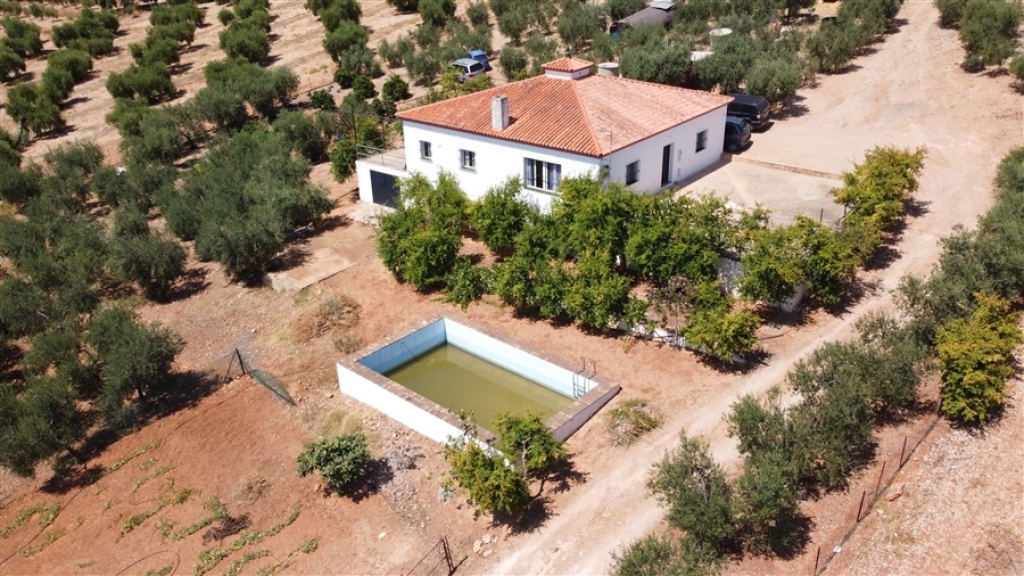 Imagen 1 de Casa de campo-Masía en Venta en Montellano Sevilla