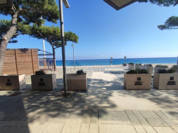 Imagen 1 de Local comercial en Alquiler en Castell Platja D Aro Girona