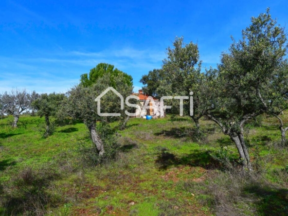 Imagen 1 de Finca de 19.500m2 con agua abundante en la Sierra de Gata