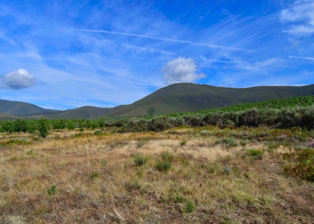 Imagen 3 de Finca agraria con agua en un entorno inmejorable.