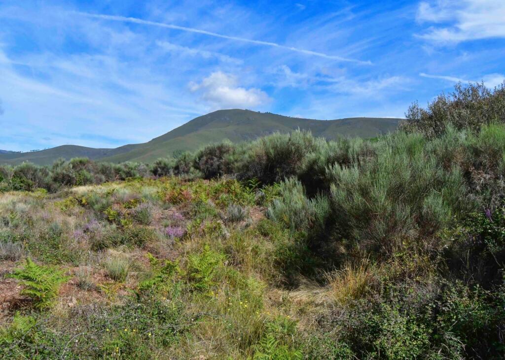 Imagen 4 de Finca agraria con agua en un entorno inmejorable.