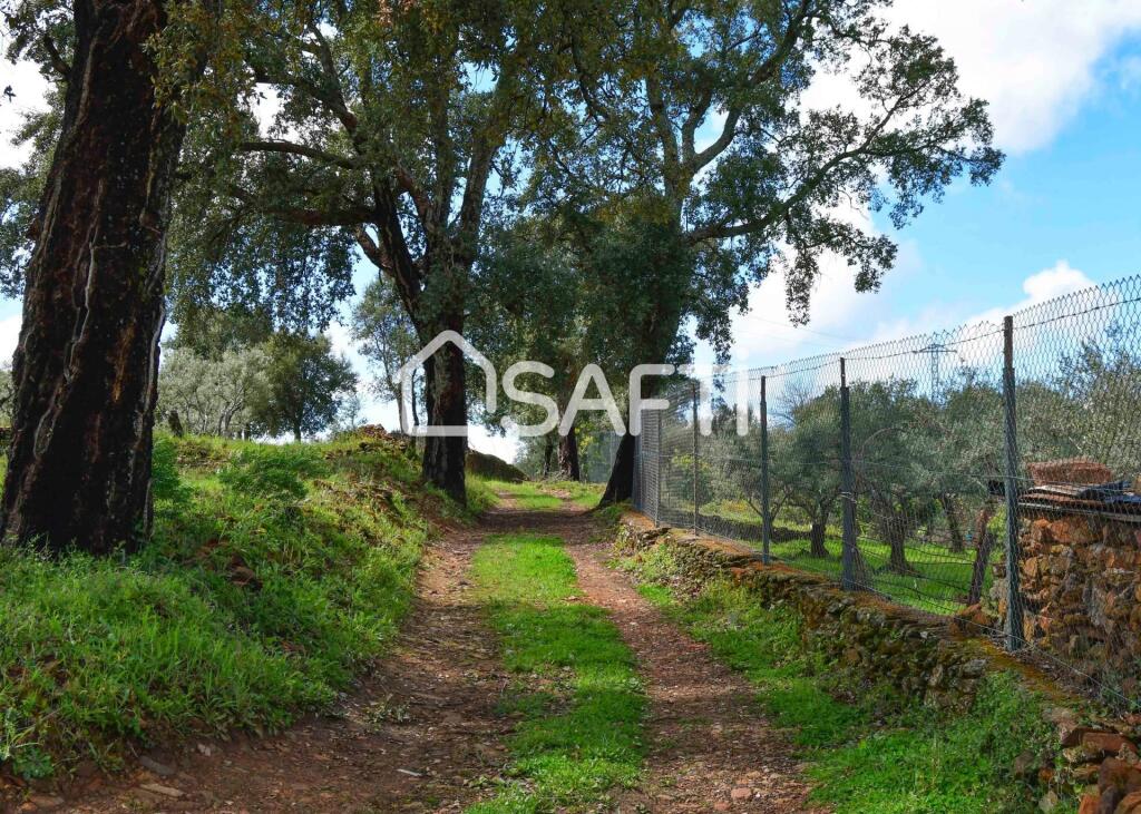 Imagen 2 de Fantástica finca rústica en pleno Sierra de Gata.