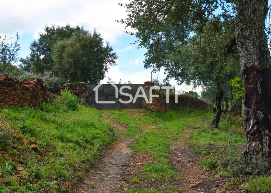 Imagen 3 de Fantástica finca rústica en pleno Sierra de Gata.