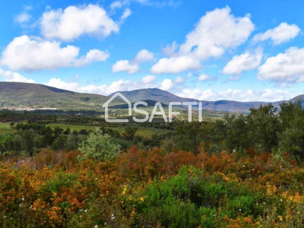 Imagen 1 de Fantástica finca rústica en pleno Sierra de Gata.