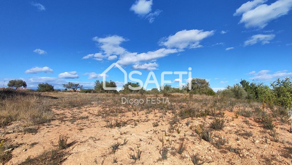 Imagen 2 de 1000 m2 DE PARCELA EN CAMPO DE GOLF