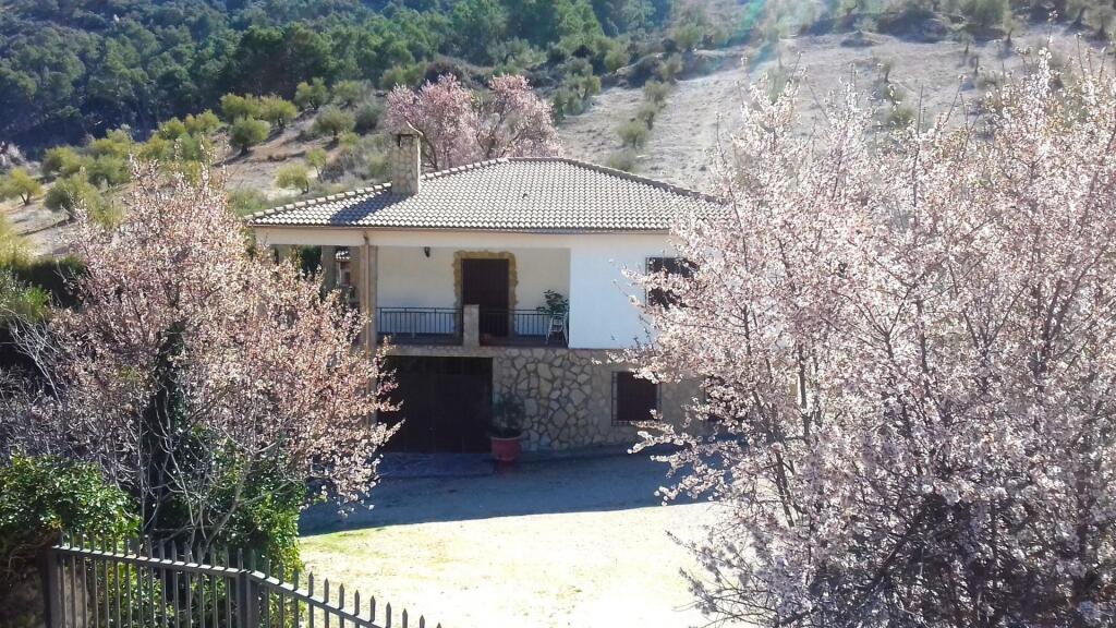 PISCINA Y CHALET