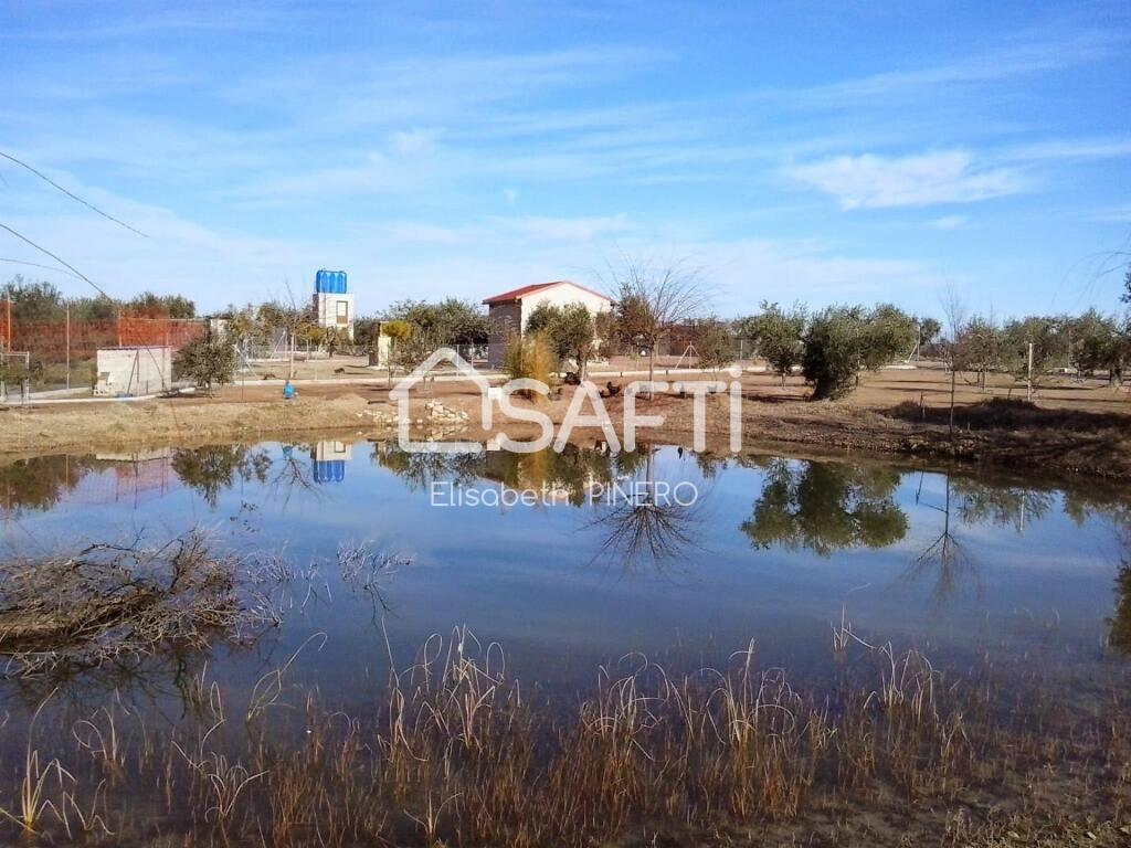 Imagen 1 de Disfruta de ésta maravilla ! CAMPO CON OLIVOS