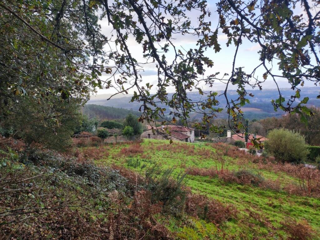 Imagen 3 de !ESPECTACULAR ARBOLEDA DE 7.000 METROS CUADRADOS CON BONITA CASA DE PIEDRA PARA RESTAURAR !