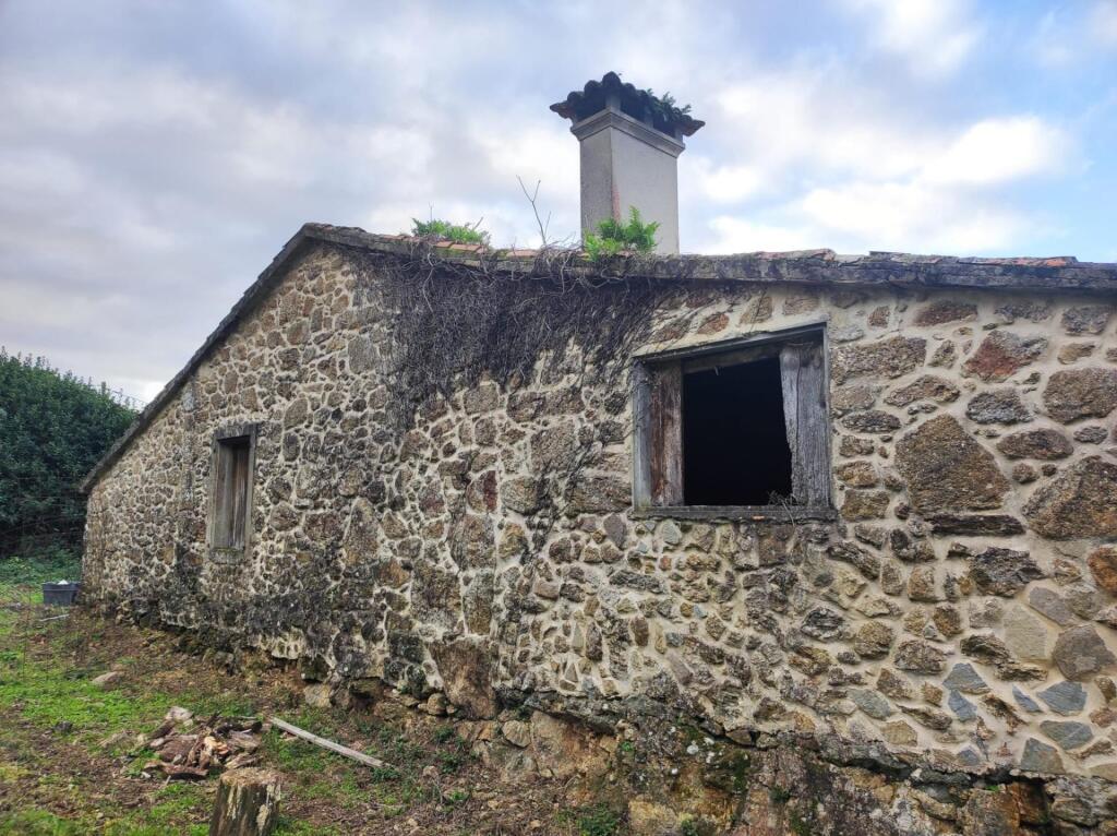 Imagen 4 de !ESPECTACULAR ARBOLEDA DE 7.000 METROS CUADRADOS CON BONITA CASA DE PIEDRA PARA RESTAURAR !