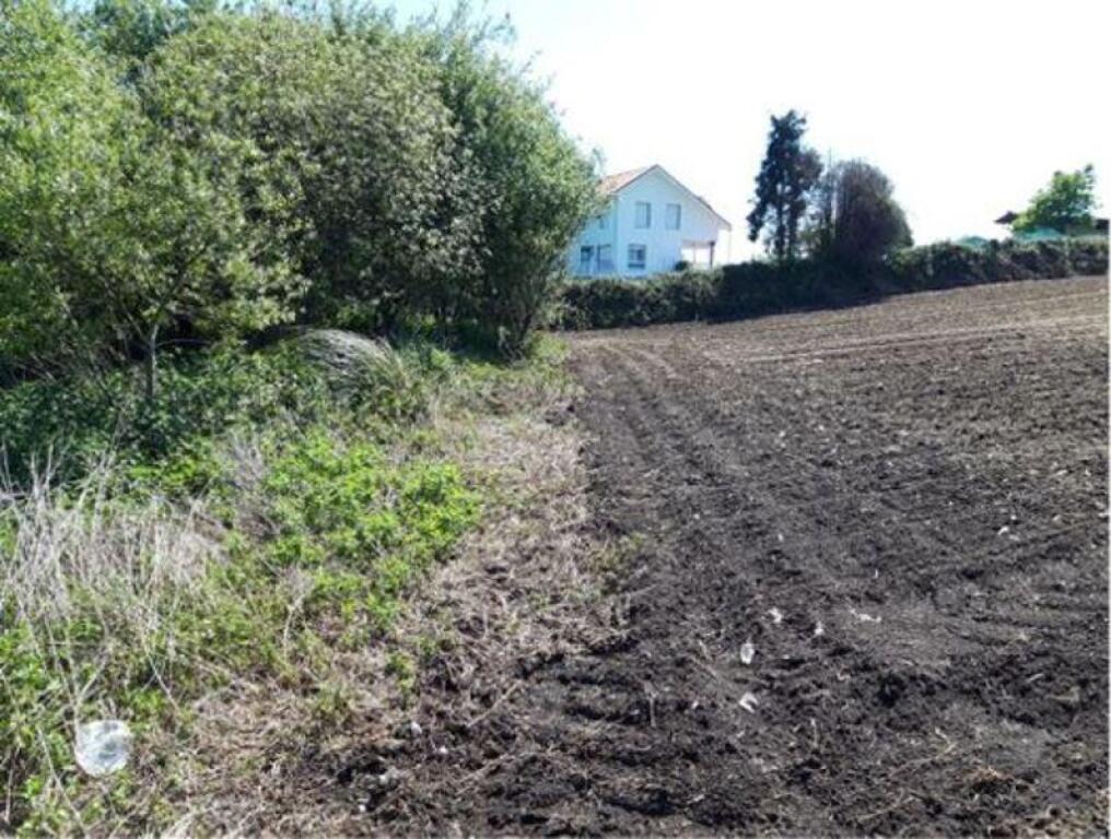 Imagen 2 de Oportunidad Parcelas urbanas en Mompía. Cantabria