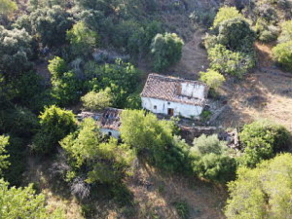 Imagen 1 de Suelo rústico en Venta en Algatocin Málaga