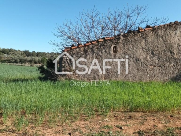 Imagen 1 de TERRENO CON CASETA DE 66