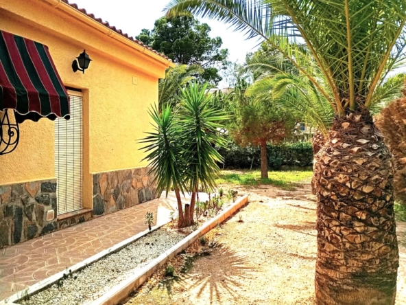 Imagen 1 de Casa-Chalet en Venta en Almaina-Park Alicante