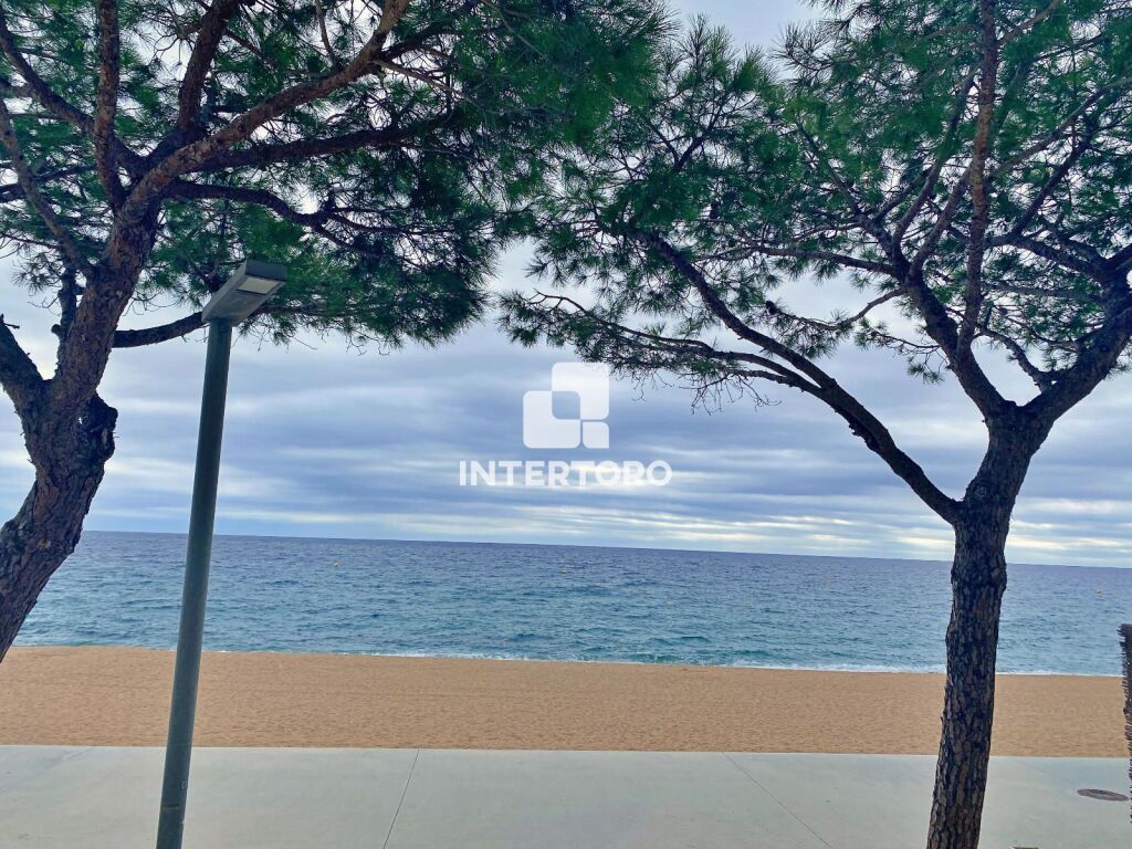 Imagen 3 de Apartamento en Venta en Platja D Aro Girona