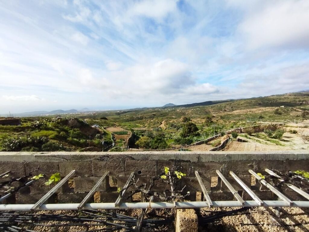 Imagen 3 de Finca con producción de vino con lagar en el Río de Arico