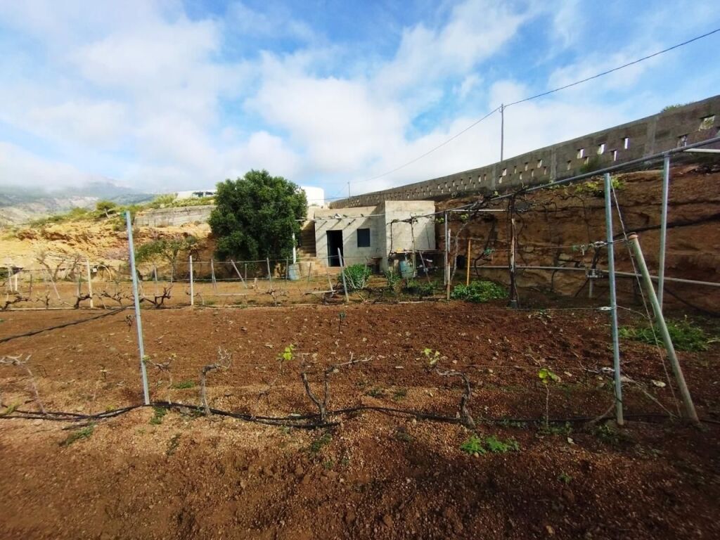 Imagen 4 de Finca con producción de vino con lagar en el Río de Arico