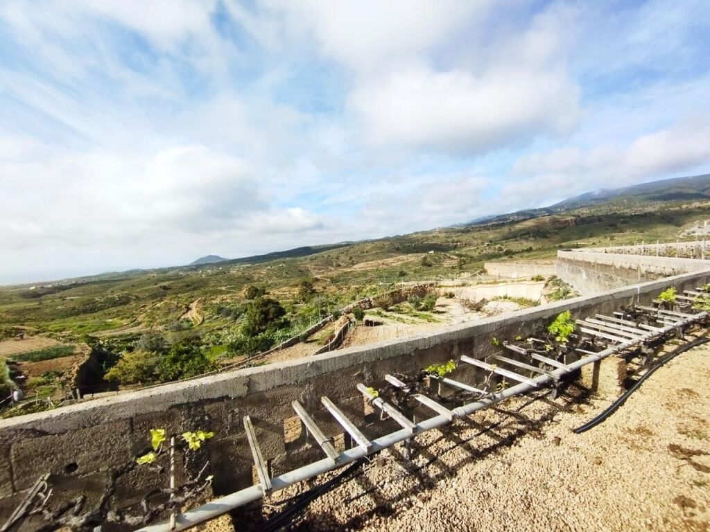 Imagen 1 de Finca con producción de vino con lagar en el Río de Arico