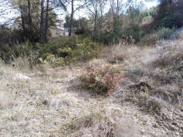 Imagen 1 de TERRENO URBANO EN VENTA EN EL PONT DE VILOMARA I ROCAFORT (RIVER PARK)