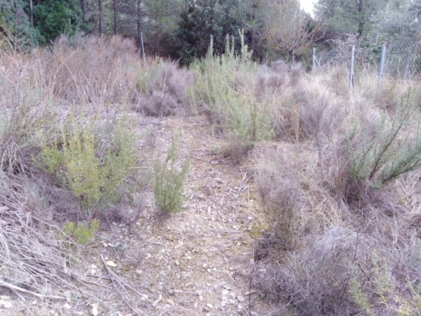 Imagen 1 de TERRENO URBANO EN VENTA EN EL PONT DE VILOMARA (RIVER PARK)