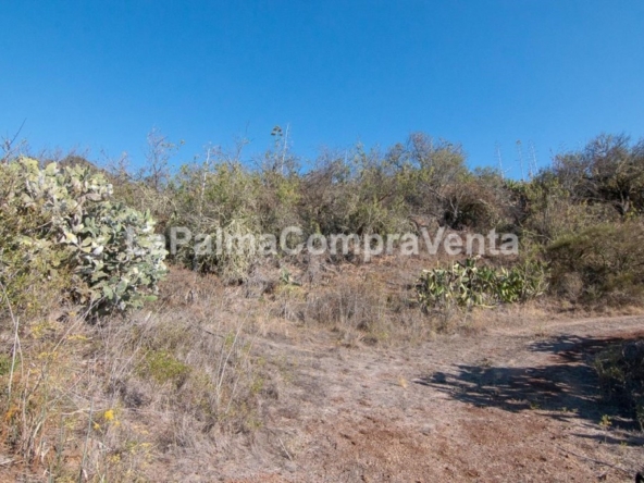 Imagen 1 de Suelo rústico en Venta en Puntagorda Santa Cruz de Tenerife