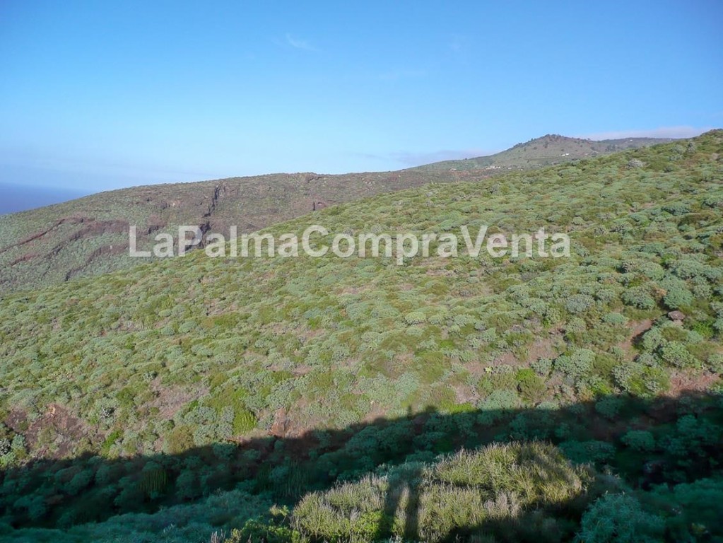 Las Santa Cruz de Tenerife