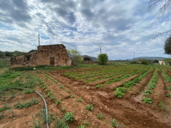 Imagen 1 de Finca a rehabilitar con agua y luz en entorno idílico